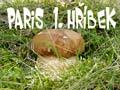 hribekm.jpg, 4 kB