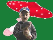 houby.jpg, 4 kB