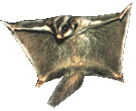 vevek.gif, 8 kB